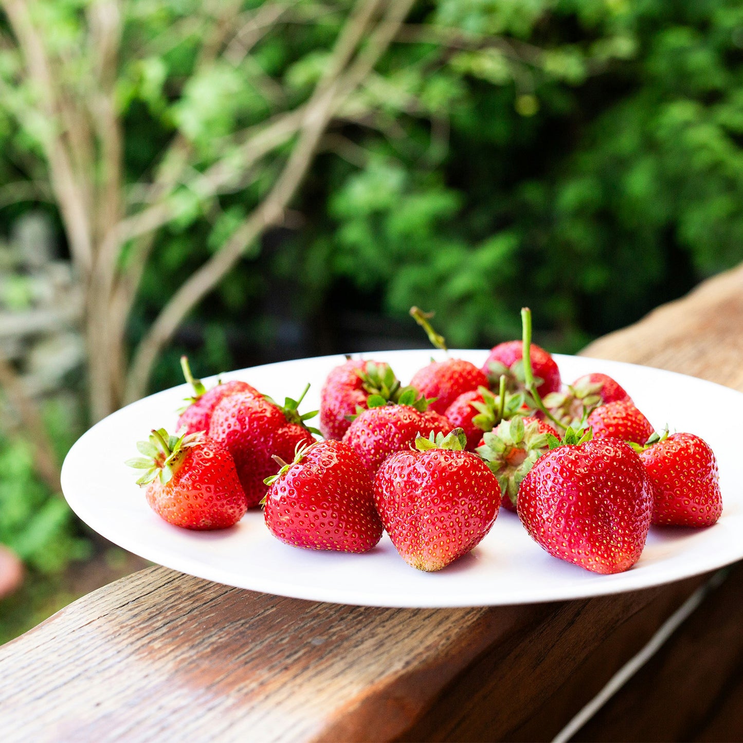 Strawberry Rhubarb Pie - Annie's Gluten Free Bakery